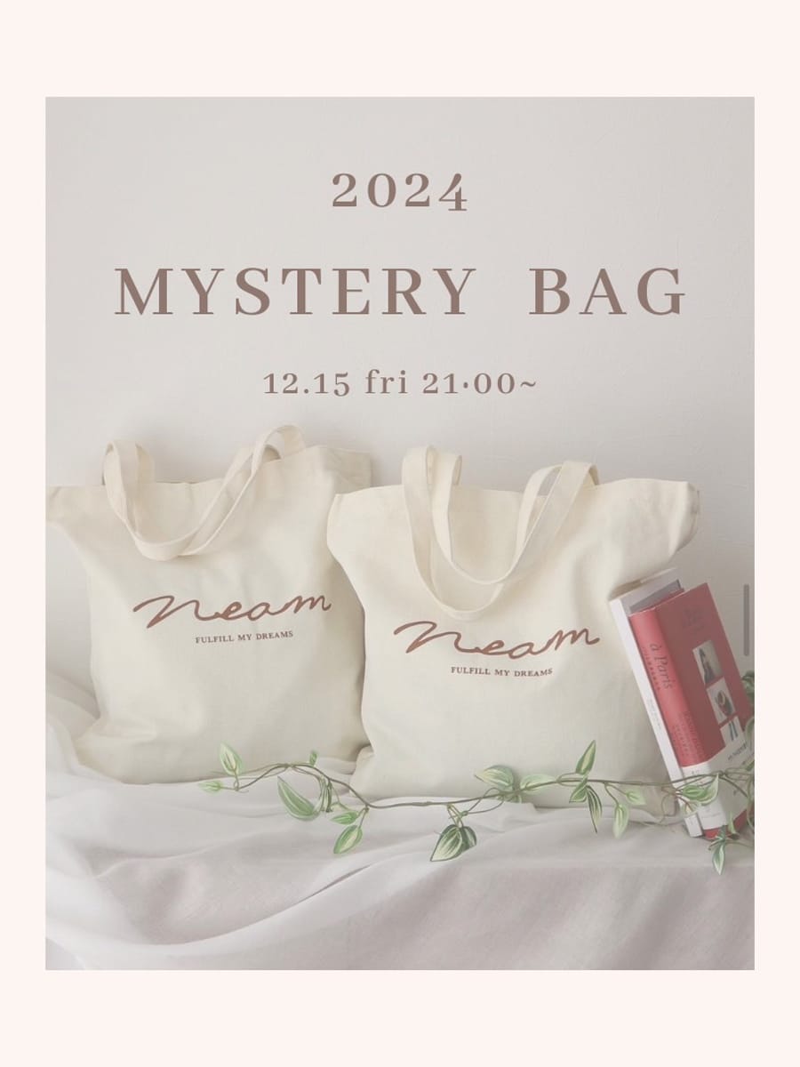 2024  mystery bag